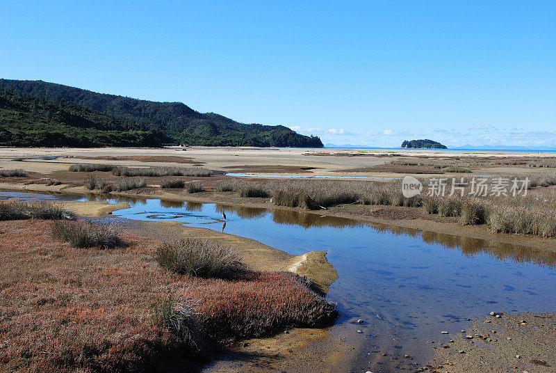 Marahau湿地，Abel Tasman, Nelson